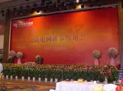 会议会场搭建布置与展览服务